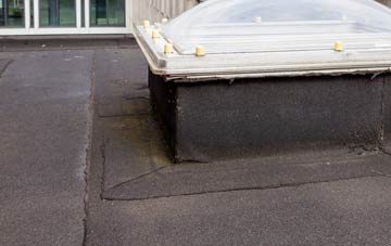 disadvantages of The Bridge flat roofs