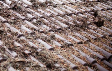 The Bridge roof cleaning companies