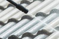 rated The Bridge roof cleaning companies